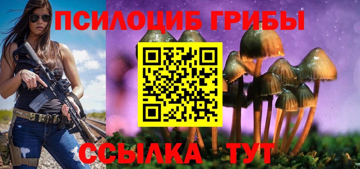 Псилоцибиновые грибы GOLDEN TEACHER  купить наркотик  Жуковский  Вход с VPN 