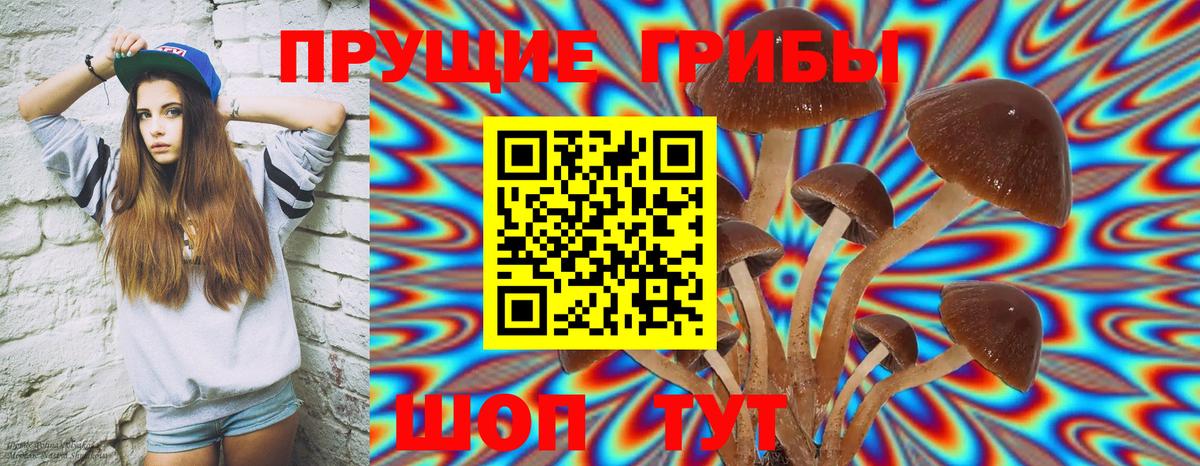 Галлюциногенные грибы Psilocybe Жуковский